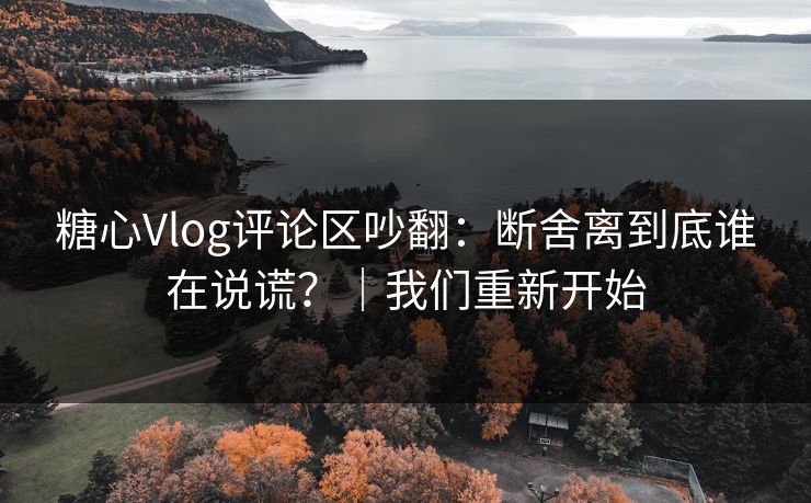 糖心Vlog评论区吵翻：断舍离到底谁在说谎？｜我们重新开始