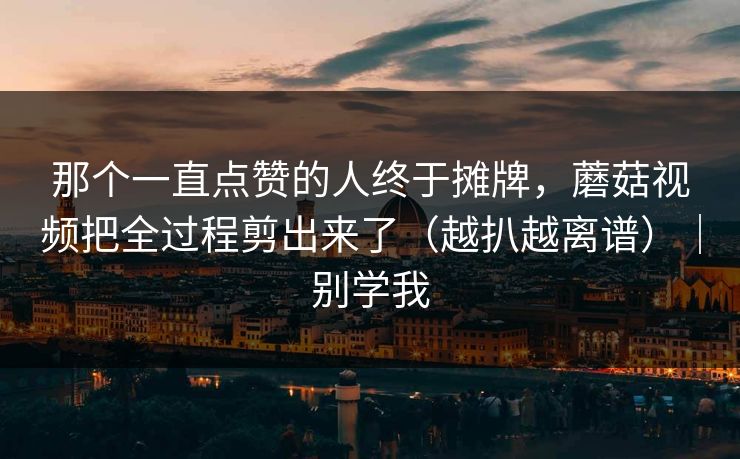 那个一直点赞的人终于摊牌，蘑菇视频把全过程剪出来了（越扒越离谱）｜别学我