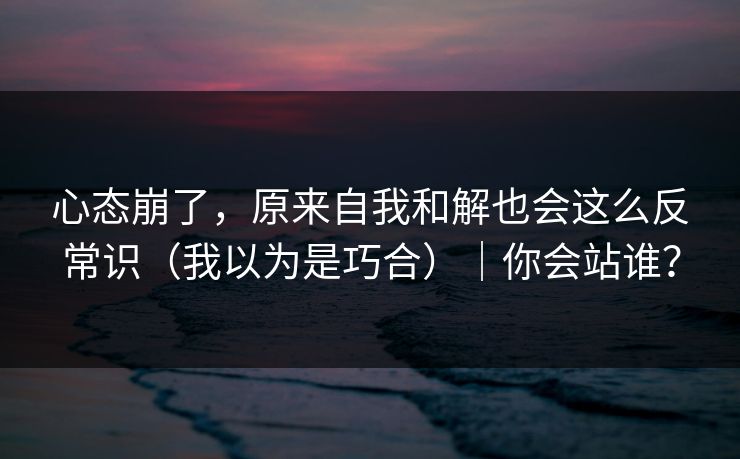心态崩了，原来自我和解也会这么反常识（我以为是巧合）｜你会站谁？