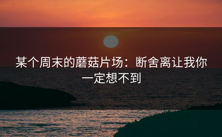 某个周末的蘑菇片场：断舍离让我你一定想不到