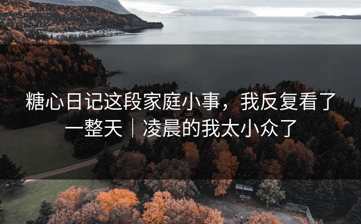糖心日记这段家庭小事，我反复看了一整天｜凌晨的我太小众了