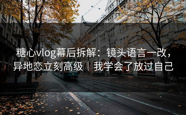 糖心vlog幕后拆解：镜头语言一改，异地恋立刻高级｜我学会了放过自己