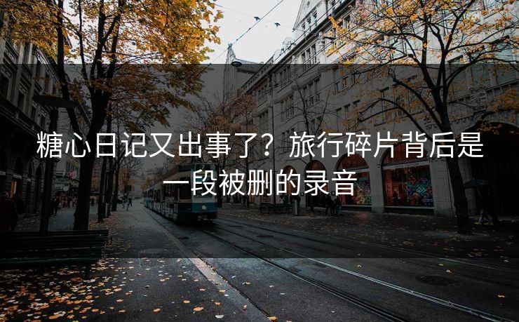 糖心日记又出事了？旅行碎片背后是一段被删的录音