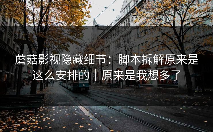 蘑菇影视隐藏细节：脚本拆解原来是这么安排的｜原来是我想多了