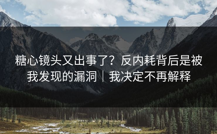 糖心镜头又出事了？反内耗背后是被我发现的漏洞｜我决定不再解释