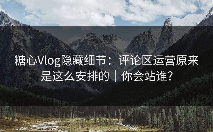 糖心Vlog隐藏细节：评论区运营原来是这么安排的｜你会站谁？