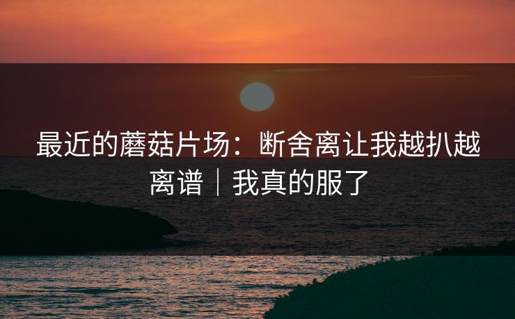 最近的蘑菇片场：断舍离让我越扒越离谱｜我真的服了